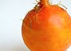 Touchstone Gold Beet