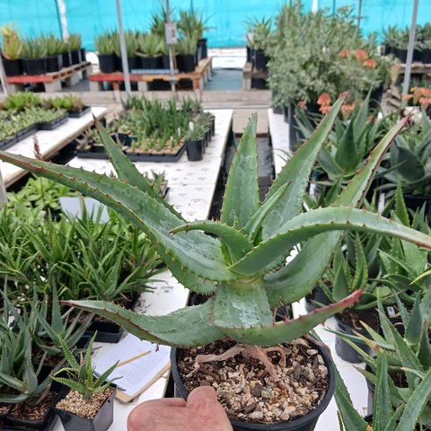 5c08144666f485251586d0f1e8190d