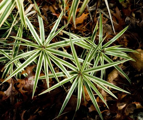 688bc984928303b05d0df73c862422