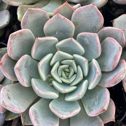 6ae67eec6207c623537ddedd869f45