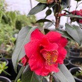 6dd9e965ca8e43dbdc8b73a6cae709