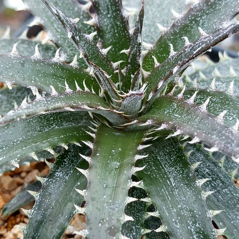 9514a72b77f40a4c7c6bae086167eb