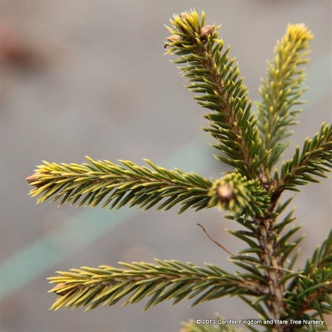 c5b9e9b4165b6ac6ec59cebc0e4886