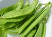 Carouby de Mousanne Snow Pea
